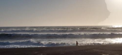 Going for a skinny dip in the rough Pacific