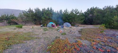 The perfect camp site