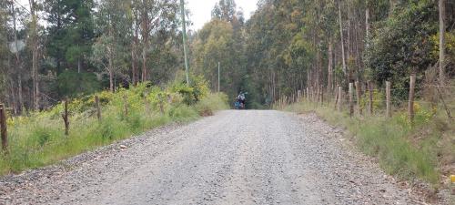 Gravel Road