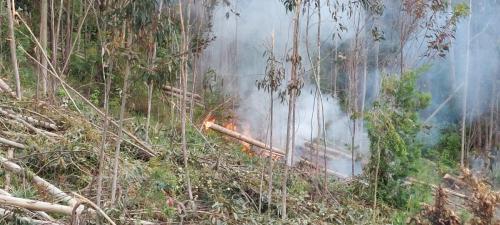 Bush fire (uncontrolled)
