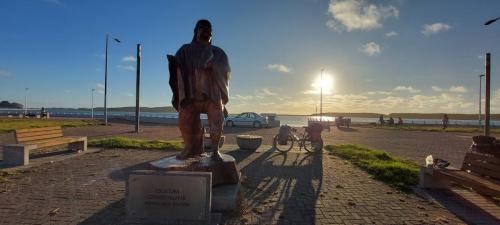 Puerto Saavedra 