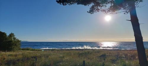Lago Llanquihue