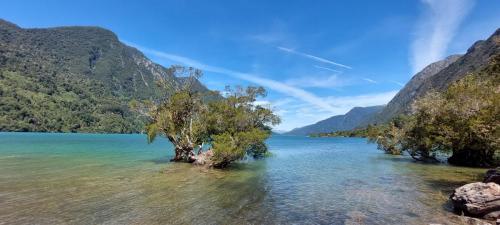 Lago Tagua Tagua