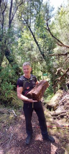 Heavy wood from Tepu Tree