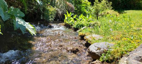 Small, clean rivers everywhere