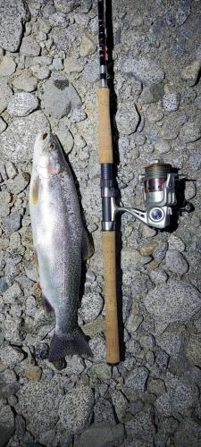 Approx 45cm