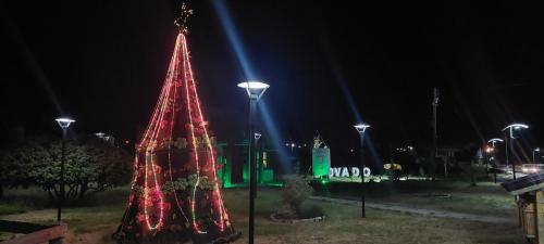 Decorations for New Years Eve