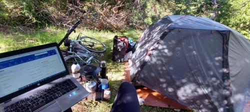 Working from the wild