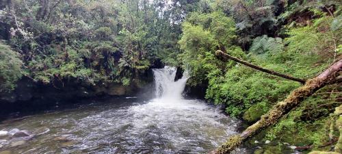 Waterfall from Rio Tronador