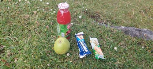 Offered Snack