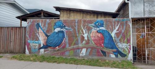 King Fisher Graffiti 