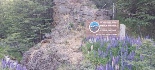 Entering National Park Cerro Castillo