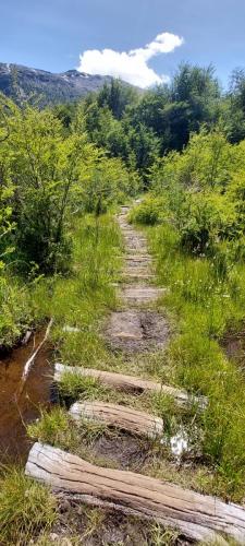Trail in good shape and maintained well