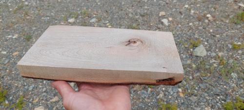 Wooden cutting board made out of Radal. Was gift from Rodrigo 