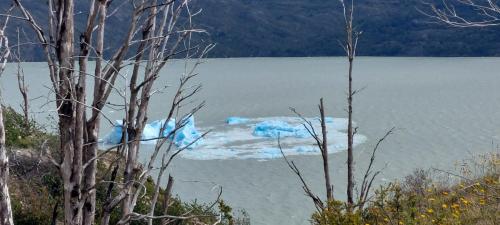 Floating ice berg falling apart