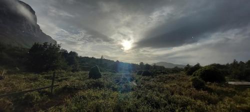 Shortly after sunrise