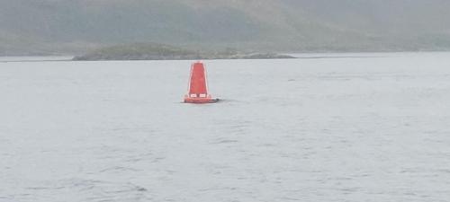 Focas de Mar by red buoy