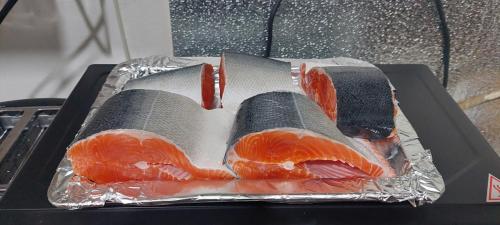 Freshest Salmon ever