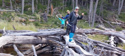 JuJu crossing a huge beaver dam