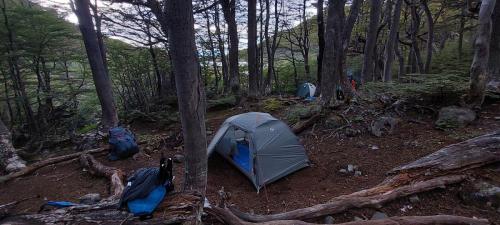Campsite in the forest