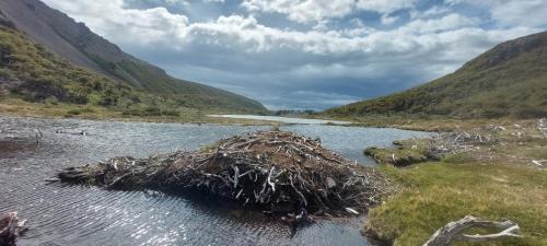 Beaver Castle