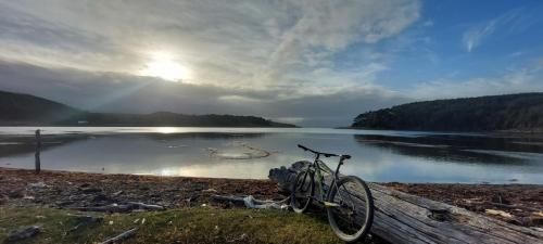 Rented Bike