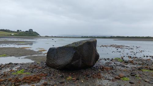 Square stone where King Witcher was murdered